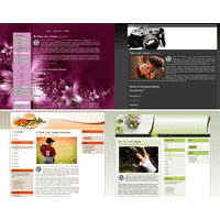 Thème WordPress Blowout V2