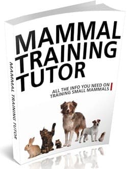 Tuteur d'entraînement mammifère Édition 2