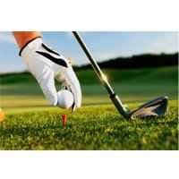 25 livres électroniques de golf