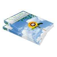 6 Minisites sur mesure