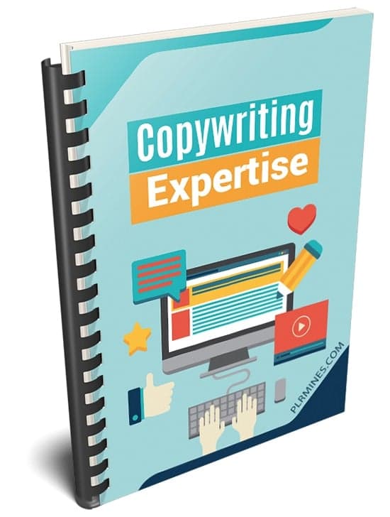 Expertise en copie