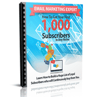 Expert en Marketing par E-mail