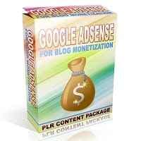 Google Adsense pour Blog Monetization