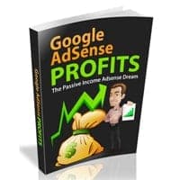 Google Adsense Bénéfices II