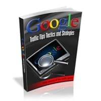 Google Traffic Conseils tactiques et stratégies