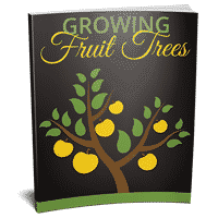 Arbres fruitiers