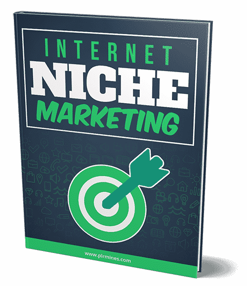 Commercialisation des niches Internet