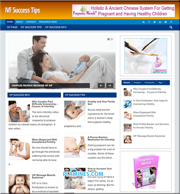 IVF Conseils de réussite Niche PLR Blog