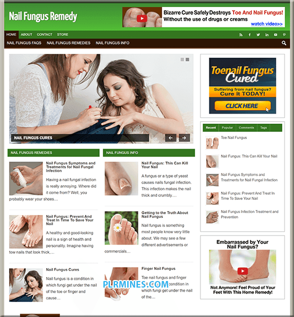 Le blog WordPress de Nail Fongus PLR