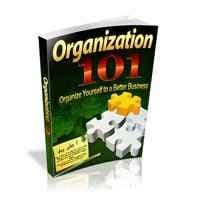 Organisation 101