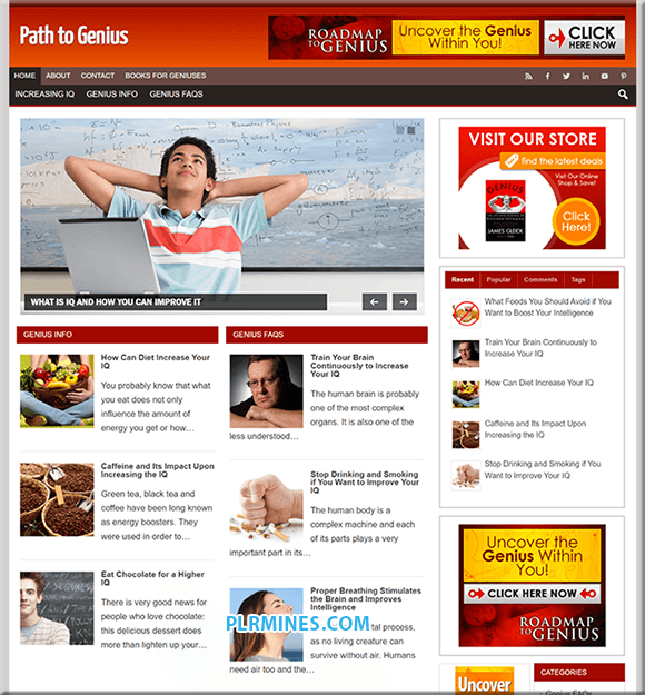 Chemin vers Genius Niche WordPress PLR Blog