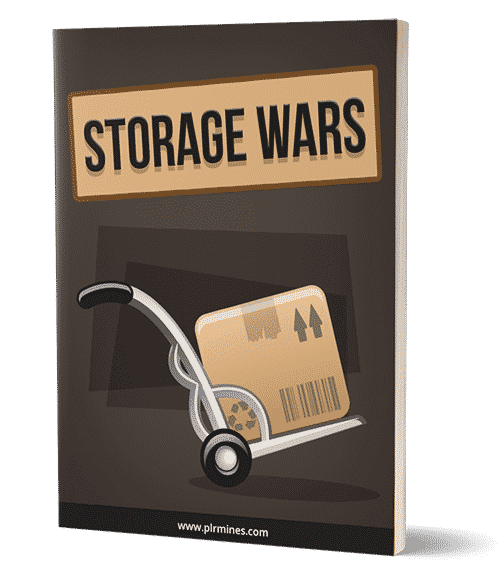 Guerres de stockage