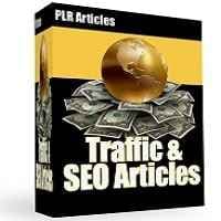 Articles sur le trafic & SEO
