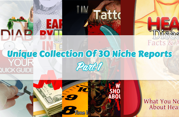 Collection unique de 30 rapports de niche Partie 1