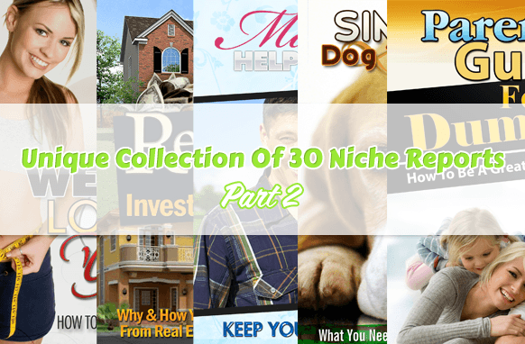 Collection unique de 30 rapports de niche Partie 2