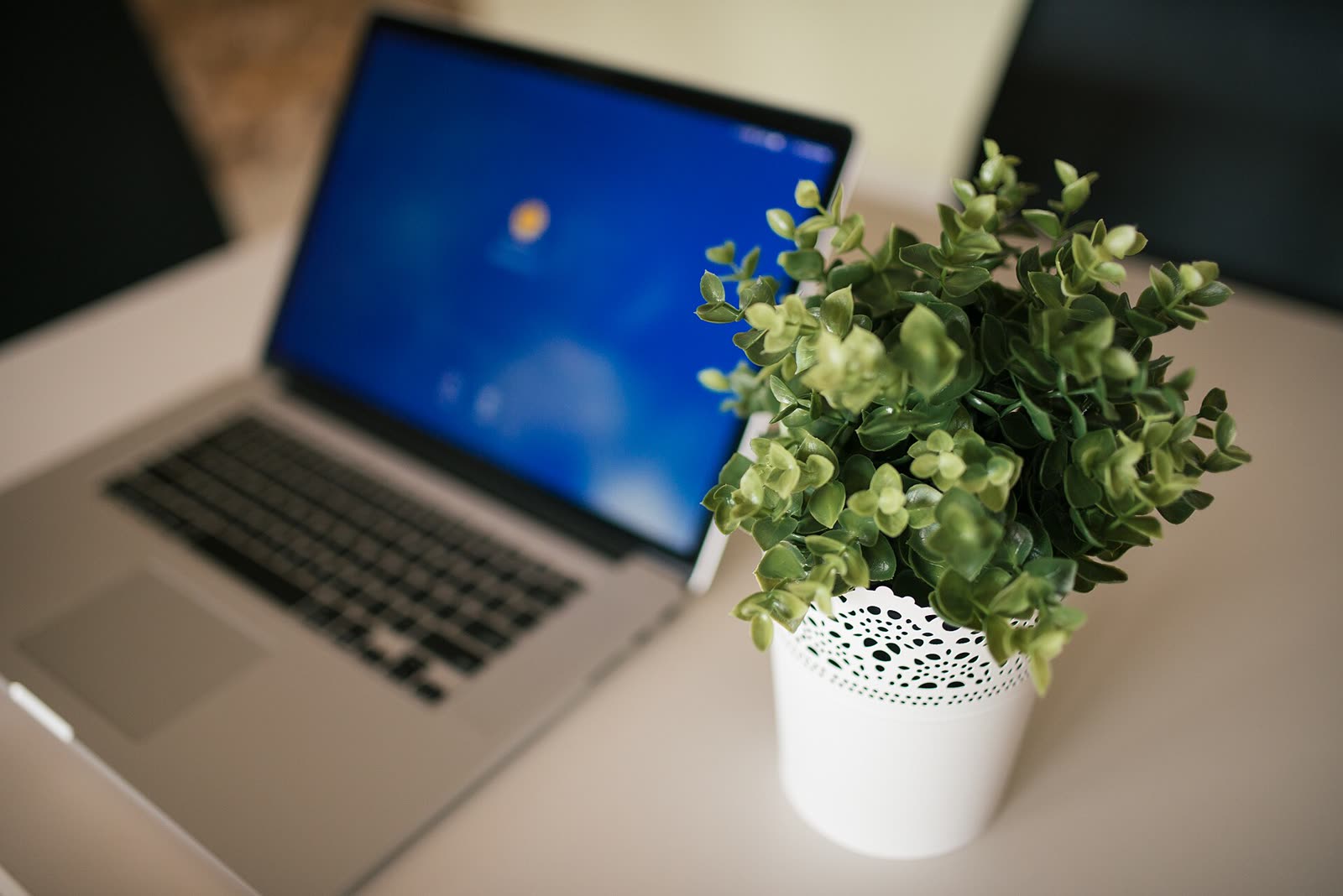 Complete Academy Library — All Courses (Download)